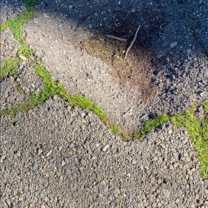 Meet your Posher, Jose